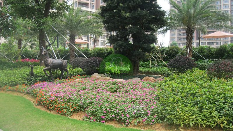 苗木种植成本控制的关键因素解析**