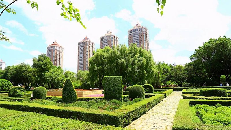 市政绿化苗木规格与价格：规格标准解析及选购要点
