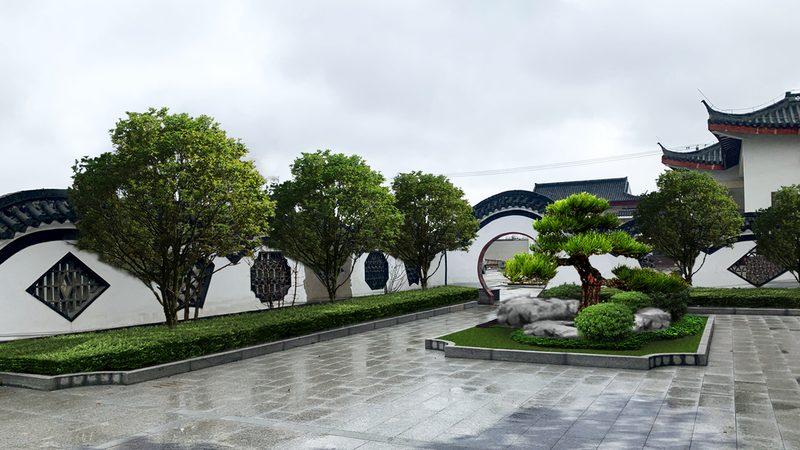 成都绿植租赁市场：揭秘排名背后的考量因素