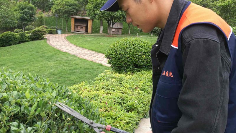 屋顶绿化防水层施工，如何确保质量与耐用性？**
