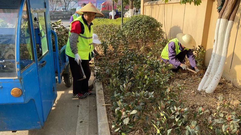 绿化防寒材料：如何选择合适的产品？**