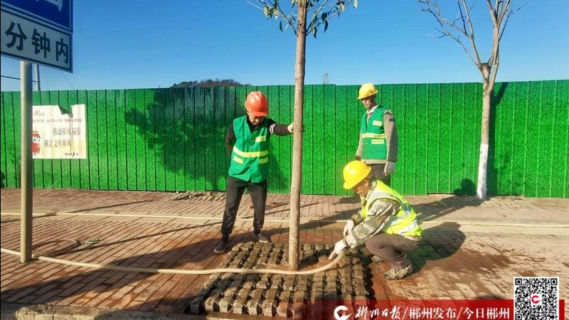 边坡绿化无土喷播：技术参数解析与应用**