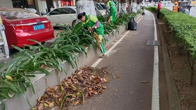 办公楼屋顶绿化的优缺点解析