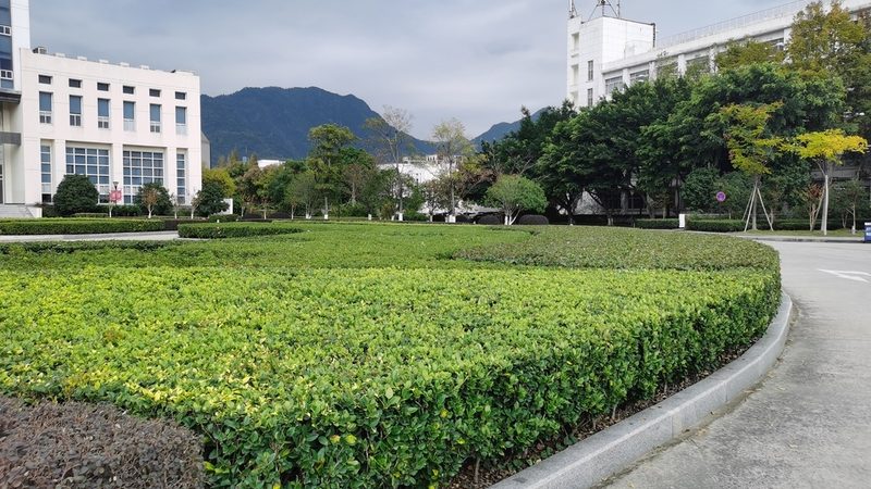 绿化养护公司选哪家？关键看这几点**