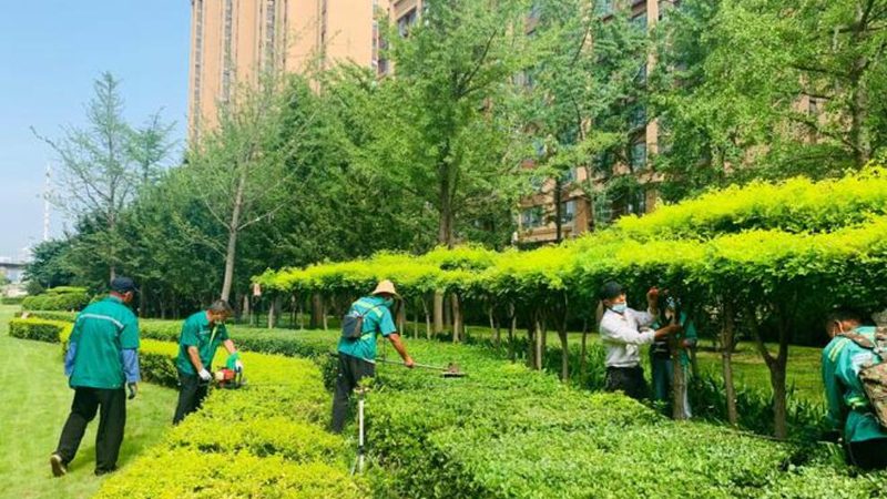 北京小区立体绿化施工步骤全解析